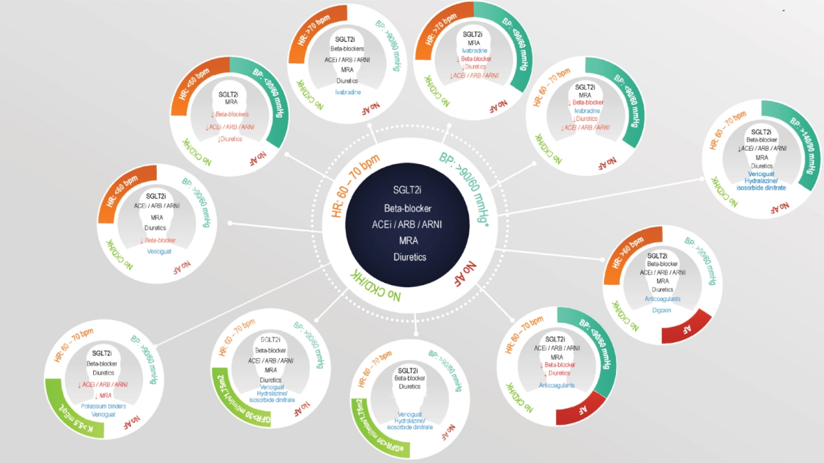 Otimização do tratamento de doentes com ICFEr