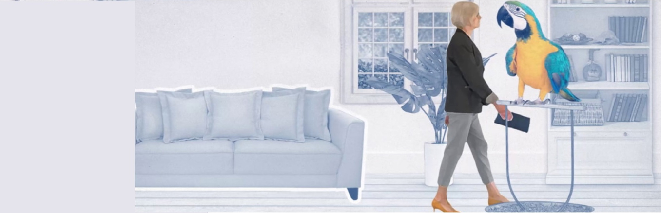 Casos Clínicos interativos